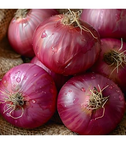 Amazon.co.jp: フランスの野菜通年 エシャロットフランス産約1Kg